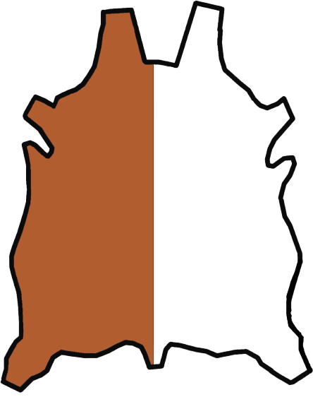 Hide Side Transparent